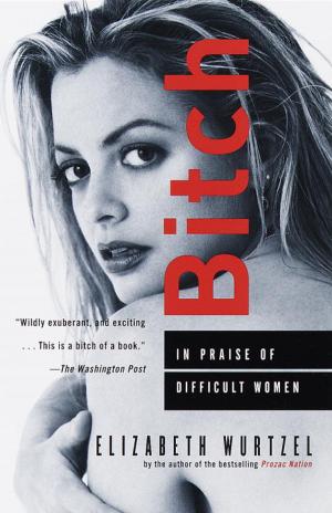 Cover of the book Bitch by Laila Lalami