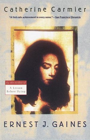 Cover of the book Catherine Carmier by Shannon Burke