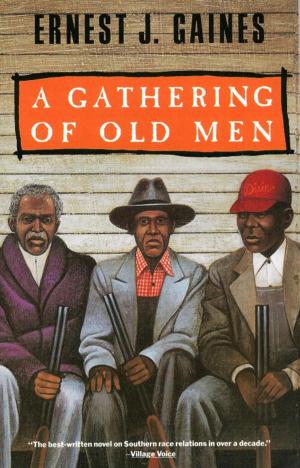 Cover of the book A Gathering of Old Men by Julio Cortazar