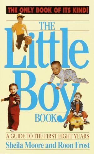 Cover of the book The Little Boy Book by Stephen Woodworth
