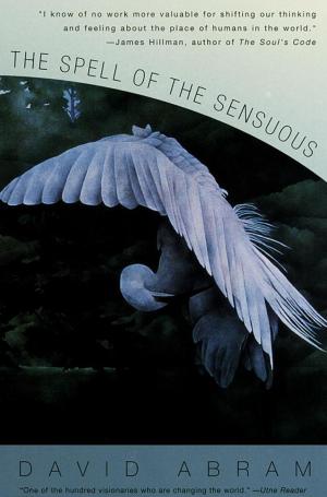 Cover of the book The Spell of the Sensuous by Alice Munro
