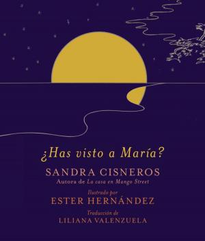 Cover of the book ¿Has visto a María? by Isabel Allende