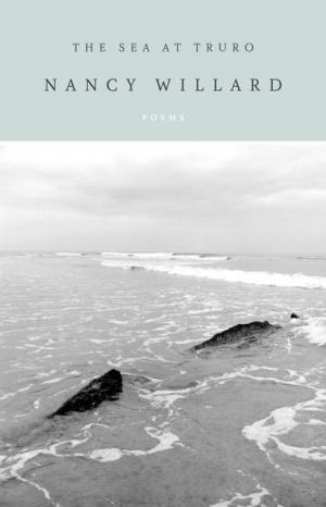 Book cover of The Sea at Truro