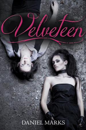 Cover of the book Velveteen by Michael Scott