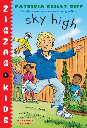 Cover of the book Sky High by Michelle Cooper