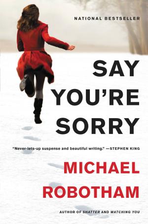 Cover of the book Say You're Sorry by Aenghus Chisholme