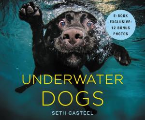 Cover of the book Underwater Dogs by Ian Rankin