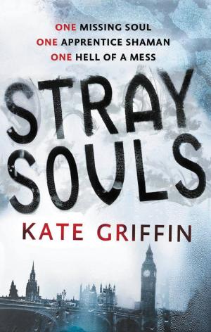 bigCover of the book Stray Souls by 