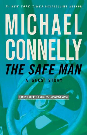 Book cover of The Safe Man