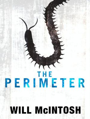 Book cover of The Perimeter