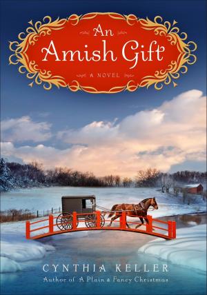 Cover of the book An Amish Gift by Ruth Reichl