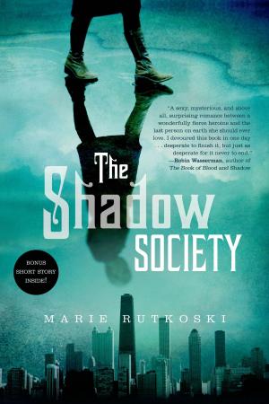 Cover of the book The Shadow Society by Marisa Polansky