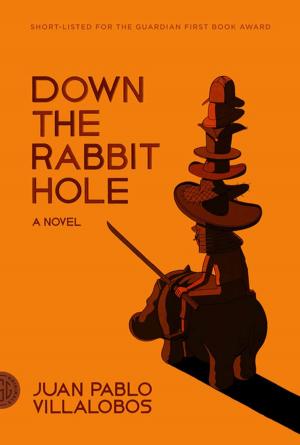 Cover of the book Down the Rabbit Hole by Simon Winder