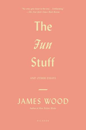 Cover of the book The Fun Stuff by Michael Mewshaw