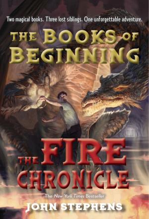 Cover of the book The Fire Chronicle by Suzy Capozzi