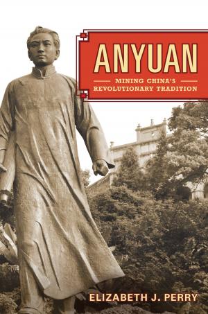 Cover of the book Anyuan by Anne Rasmussen