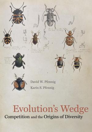Cover of the book Evolution's Wedge by Simon Andrew Avenell