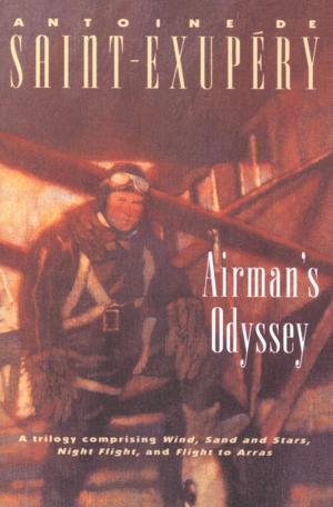 Cover of the book Airman's Odyssey by Kenn Kaufman