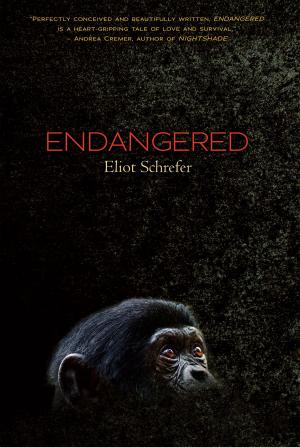 Cover of the book Endangered by Ann M. Martin