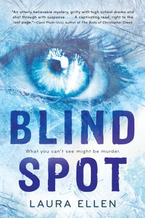 Cover of the book Blind Spot by Deborah Underwood