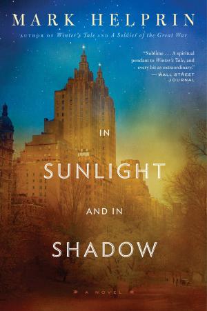 Cover of the book In Sunlight and In Shadow by Suzanne Weyn