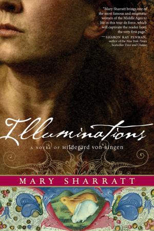 Book cover of Illuminations