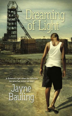 Book cover of Dreaming of Light