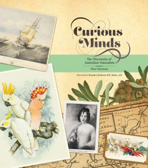 Cover of the book Curious Minds by CJ Lledo