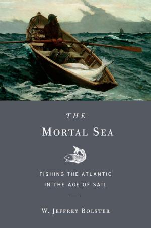 Cover of the book The Mortal Sea by Tudor Parfitt