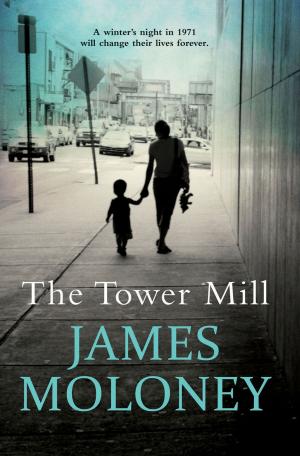 Cover of the book The Tower Mill by Ian Lowe