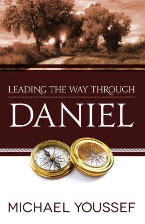 Book cover of Leading the Way Through Daniel