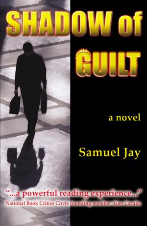 Cover of the book Shadow of Guilt by John Guy LaPlante