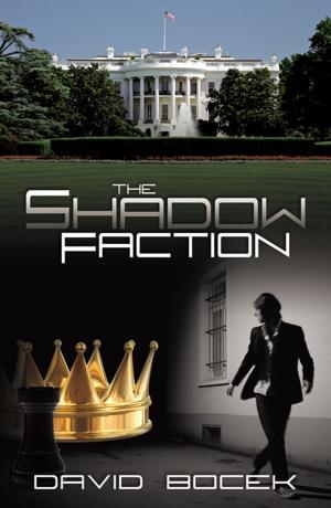 Cover of the book The Shadow Facation by Rev. Msgr. Chester P. Michael, STD