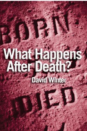 Cover of the book What Happens After Death? by Stephen Tomkins