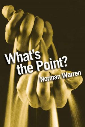 Cover of the book What's the Point? by Anthony Maranise