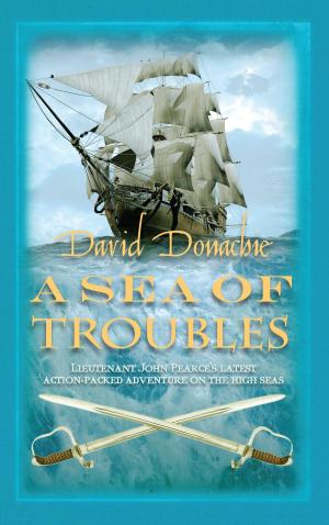 Cover of the book A Sea of Troubles by Judith Cutler