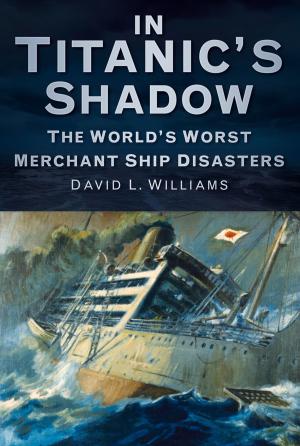 Cover of the book In Titanic's Shadow by David Barrowclough