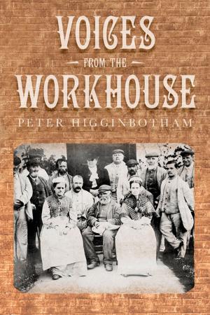 Cover of the book Voices from the Workhouse by Adam Bushnell, Dave Silk