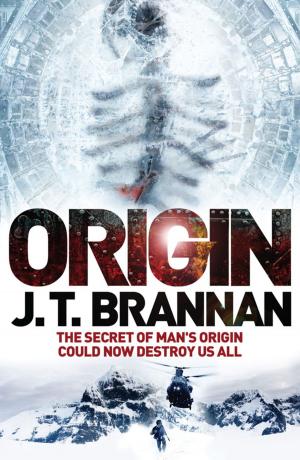 Cover of the book Origin by Joan Jonker