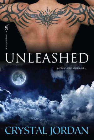 Cover of the book Unleashed by Holly Chamberlin