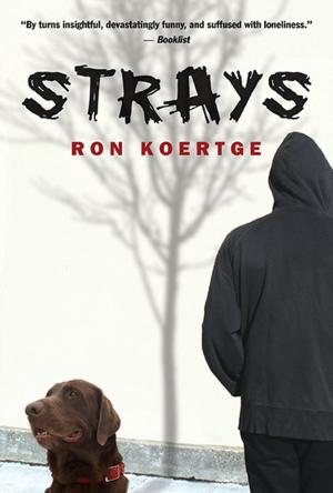 Cover of the book Strays by Megan McDonald