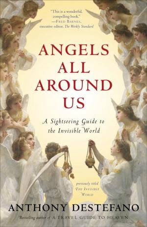 Cover of the book Angels All Around Us by Chuck Christensen, Winnie Christensen