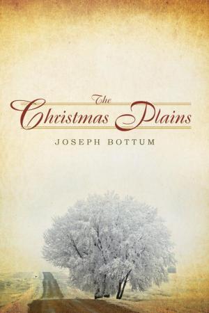 Cover of the book The Christmas Plains by Thomas Merton