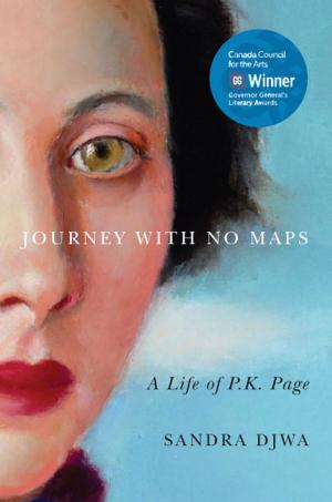 Cover of the book Journey with No Maps by Donald E. Abelson