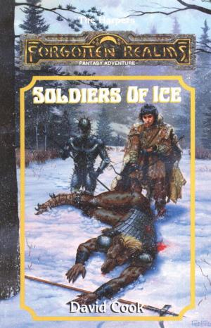 Cover of the book Soldiers of Ice by Ed Greenwood