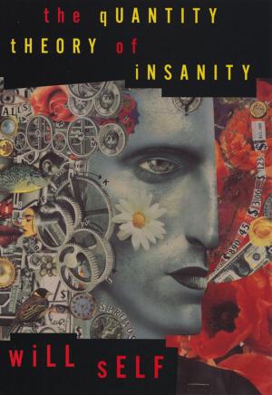 Book cover of The Quantity Theory of Insanity