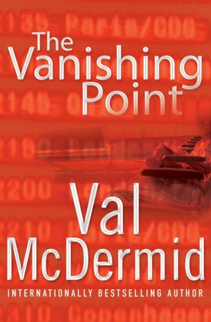 Cover of the book The Vanishing Point by Penelope Lively