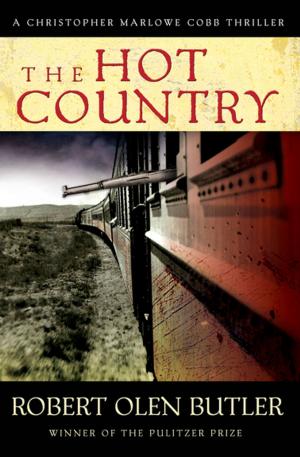 bigCover of the book The Hot Country by 