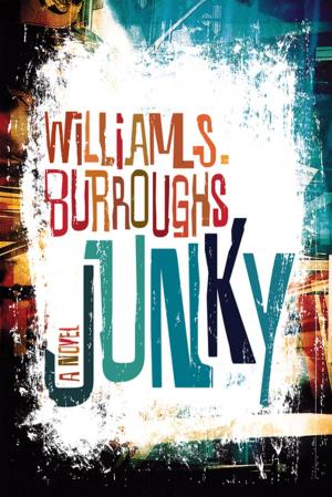 Cover of the book Junky by Michael Knight