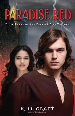 Book cover of Paradise Red